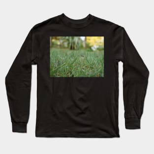 Dew drops on the grass in the morning Long Sleeve T-Shirt